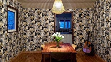 Wallpaper removal